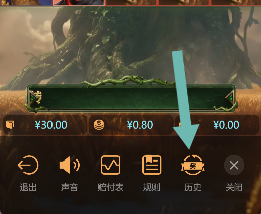 选择查看历史纪录